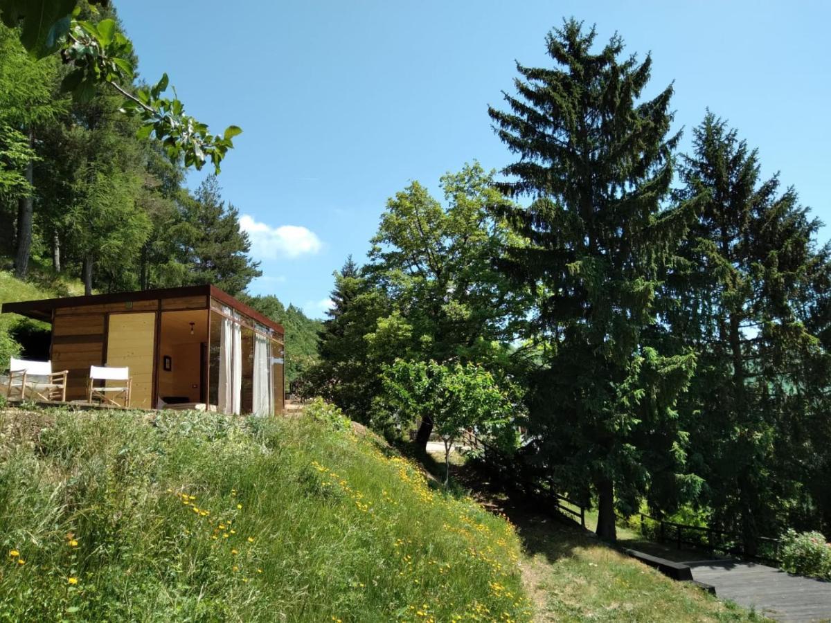 Suxen Nature Experience - Lodge Con Vista Panoramica Prepotto  외부 사진