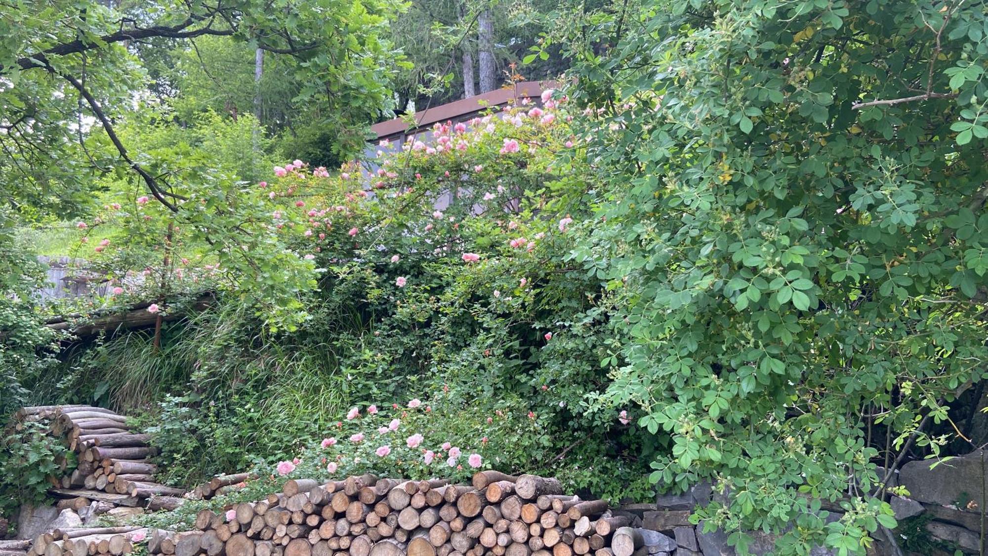 Suxen Nature Experience - Lodge Con Vista Panoramica Prepotto  외부 사진
