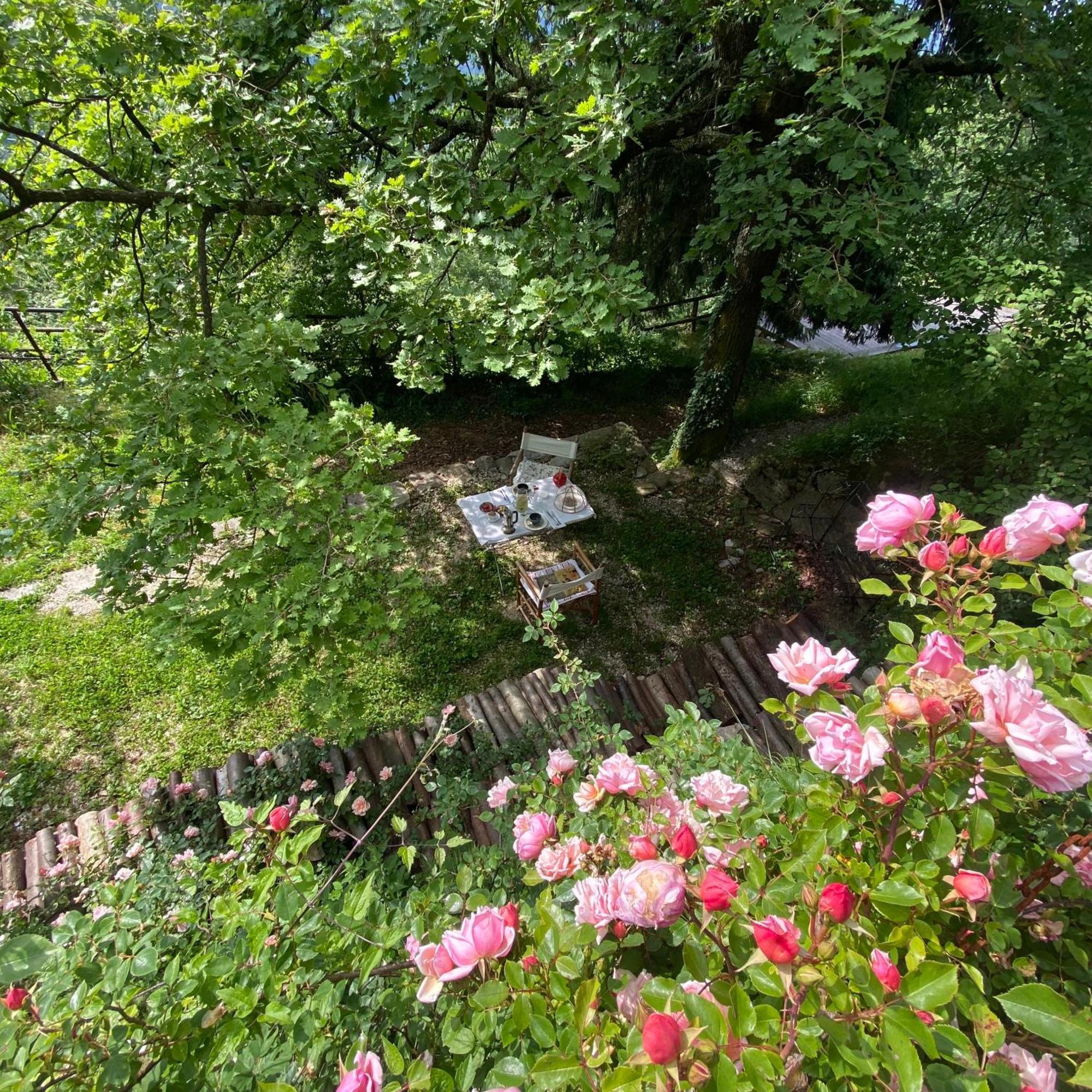 Suxen Nature Experience - Lodge Con Vista Panoramica Prepotto  외부 사진